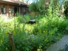 Garten Bork-Frieling-p1060569